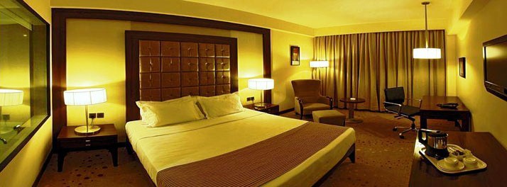 1027/Cambay Grand - Ahmedabad 11.jpg